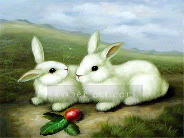 dw005hD animal rabbit Oil Paintings